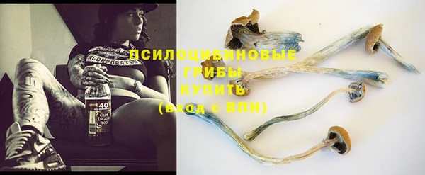 первитин Абинск
