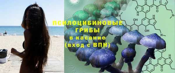 СК Медногорск